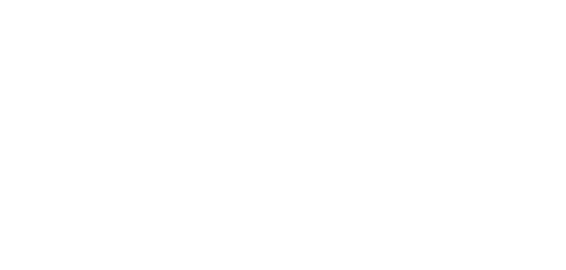 DLM-Home—logo-blanc